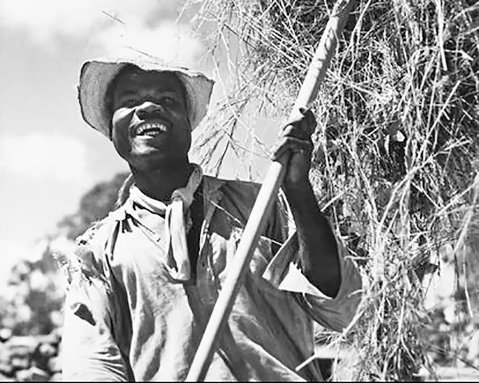 The Brooding Spirits