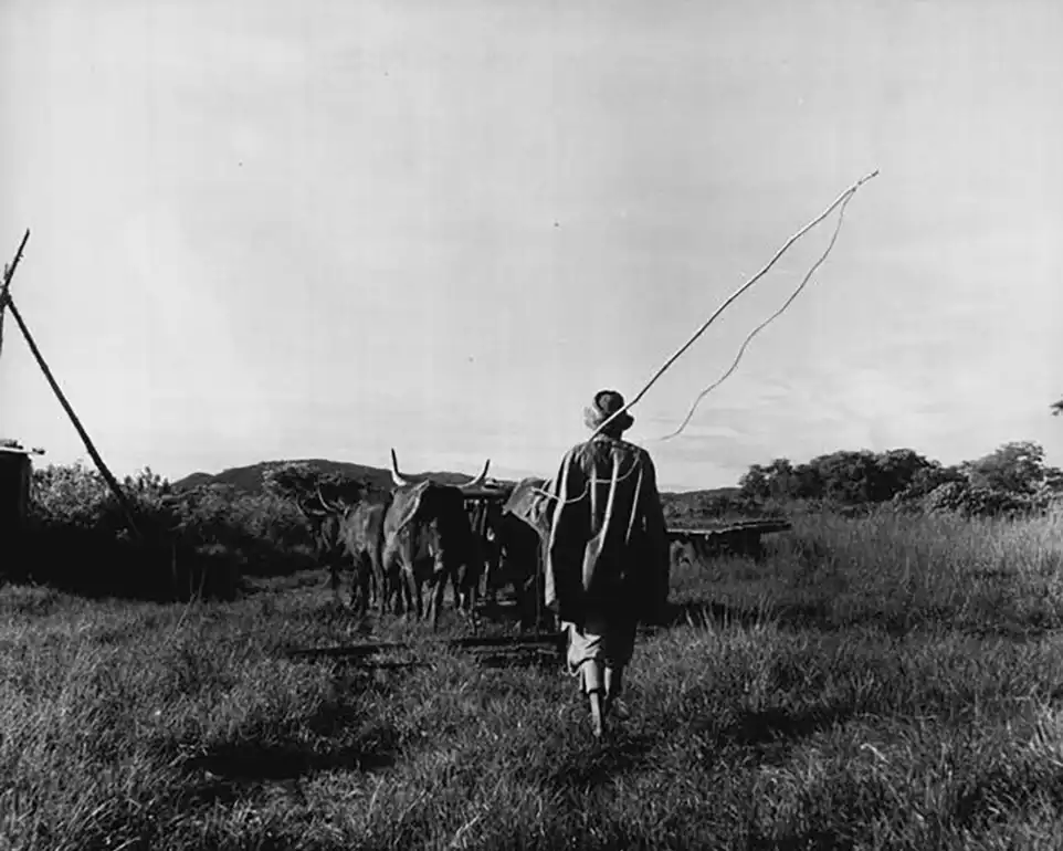 The Old Order Changes